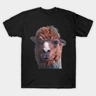 Alpaca Cute Portrait T-Shirt